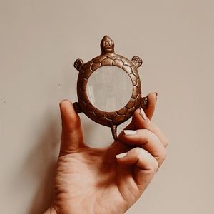 Turtle magnifying glass